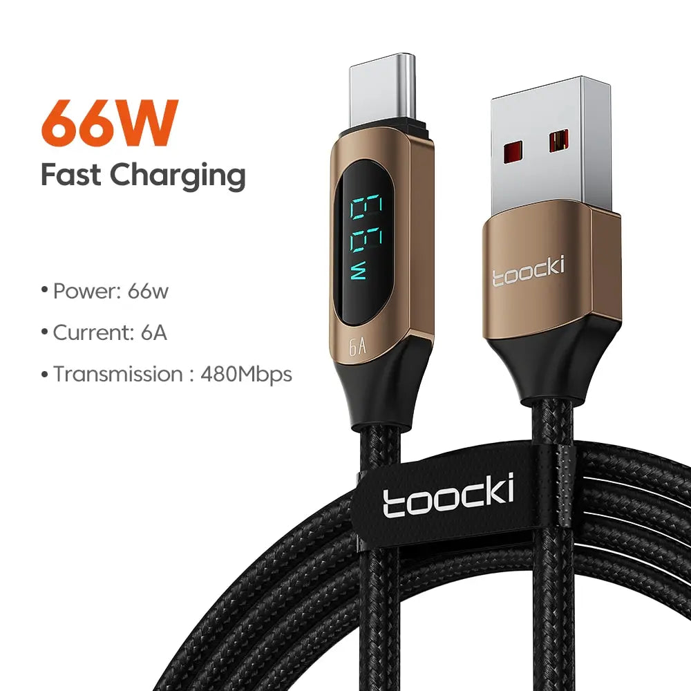 Type C to Type C Cable 100W